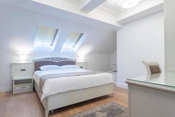 Фото номера Двухместный номер с 1 кроватью Отель Hotel Gabriela г. Вишеу-де-Сус 5