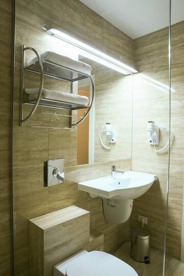 Фото номера Двухместный номер с 1 кроватью Отель Hotel Montana г. Вишеу-де-Сус 5