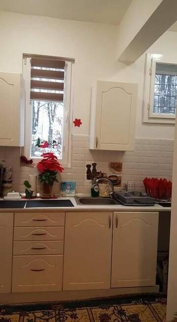 Фото номера Дом с 1 спальней Дома для отпуска Casa la Parc г. Вишеу-де-Сус 33